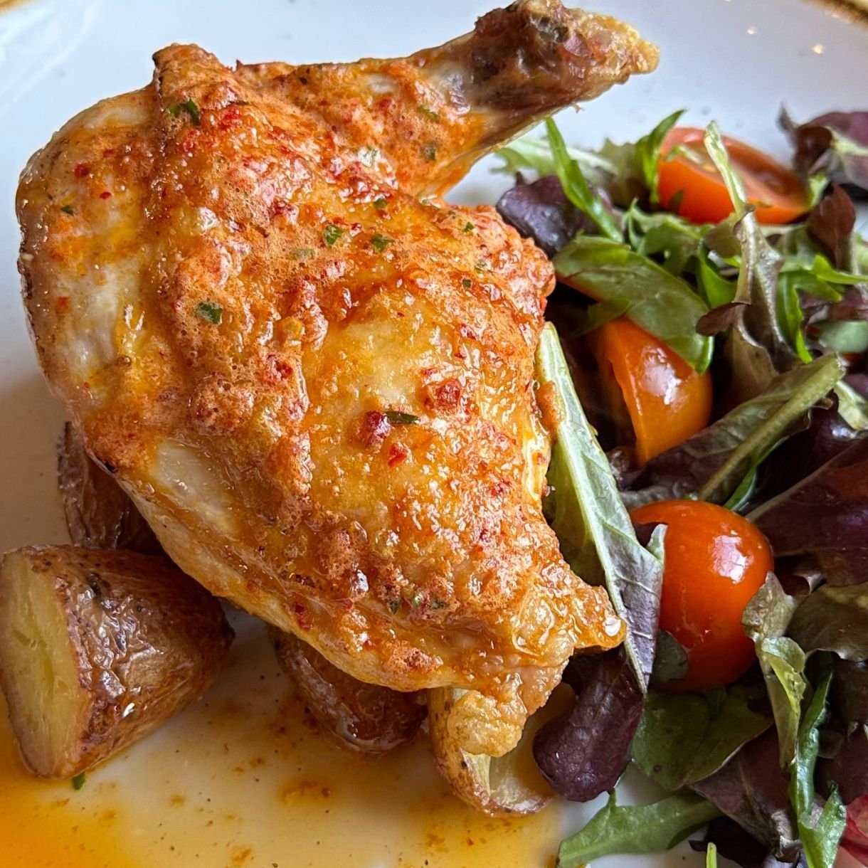 Chicken breast with salad garnish